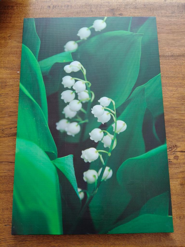 Canvas met LED, Huis en Inrichting, Woonaccessoires | Schilderijen, Tekeningen en Foto's, Ophalen