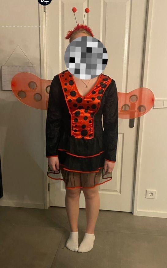 Lieveheersbeestje kostuum, Kleding | Dames, Ophalen of Verzenden, Zo goed als nieuw, Maat 38/40 (M), Carnaval