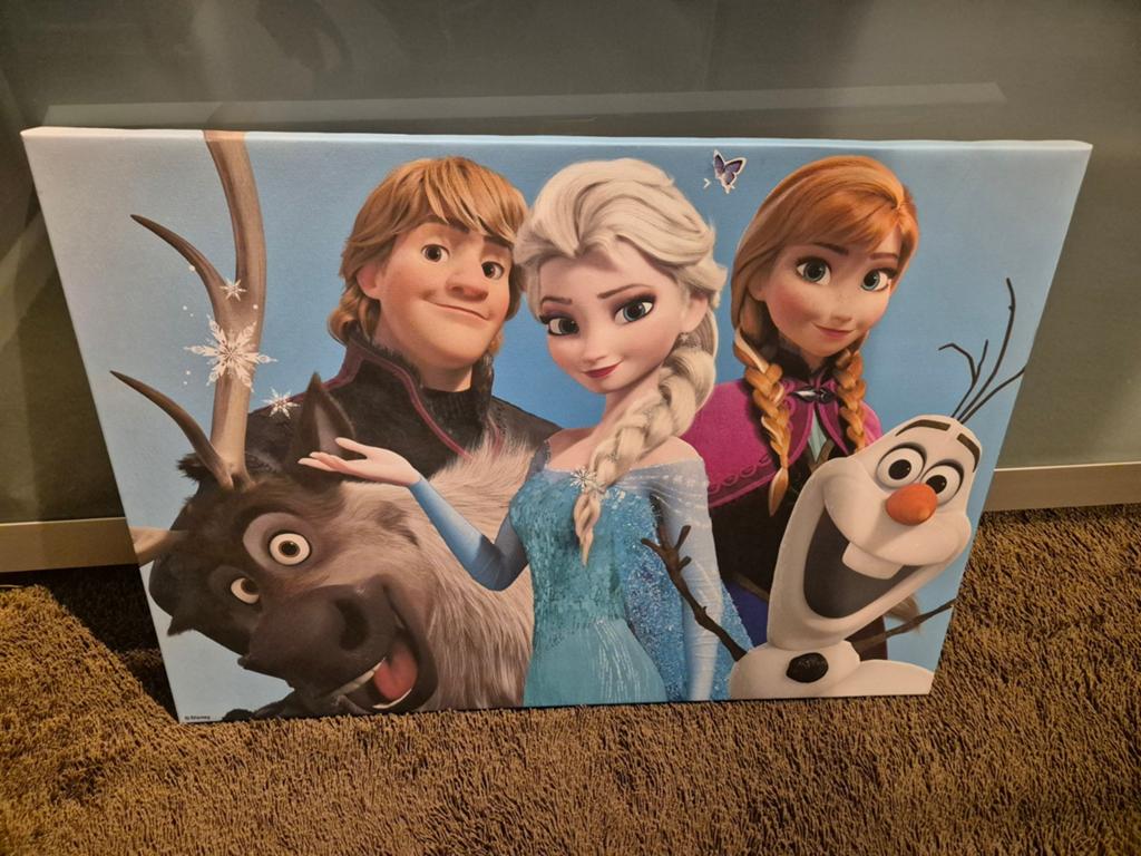Schilderij frozen, Kinderen en Baby's, Kinderkamer | Inrichting en Decoratie, Ophalen of Verzenden