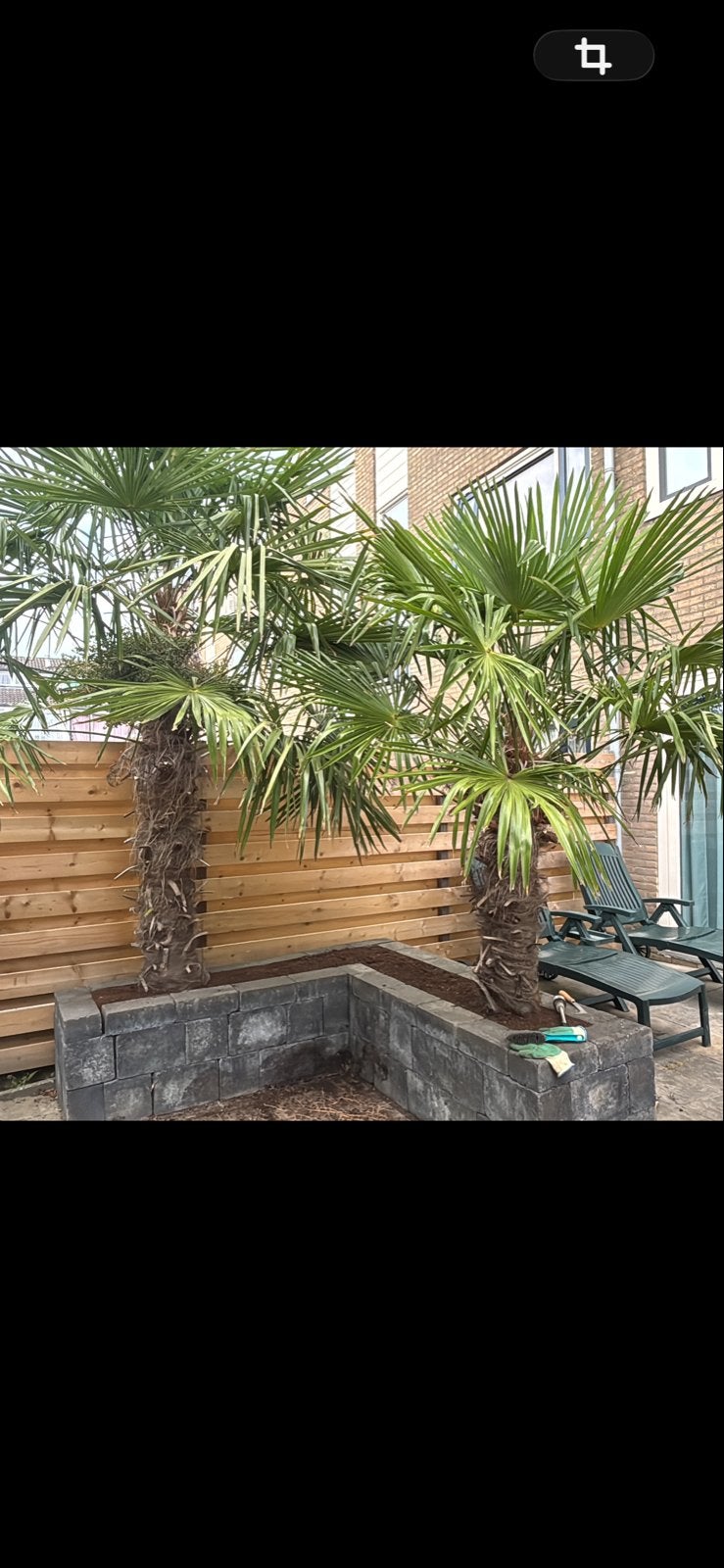 Partij gebruikte grijze borderstenen / stapelblokken, Tuin en Terras, Ophalen, Gebruikt, Blok, Beton