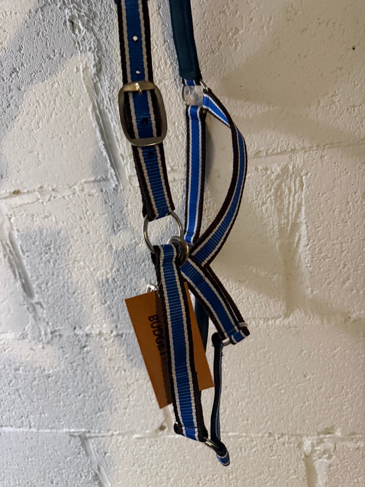 Nieuw halster cob., Ophalen of Verzenden, Zo goed als nieuw, Halster, Cob