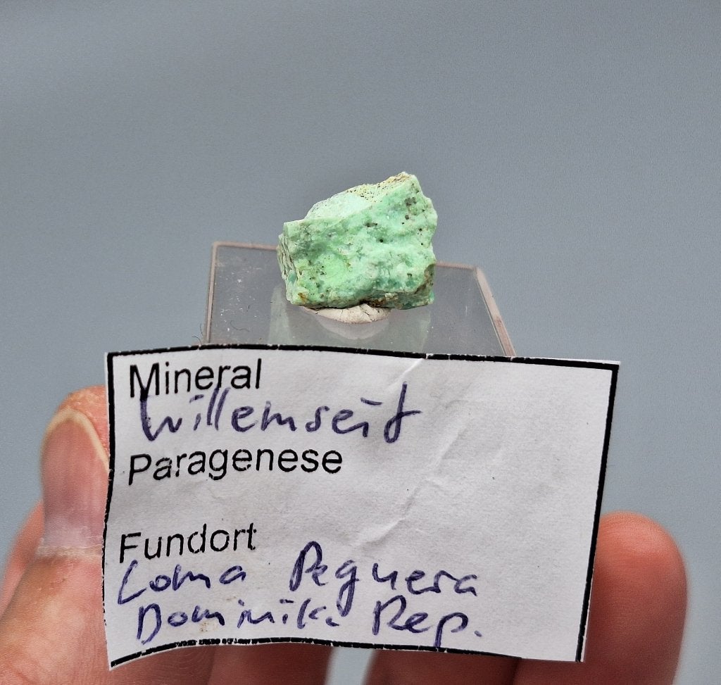 Willemseite - Loma la Peguera, Dominikaanse Republiek, Ophalen of Verzenden, Mineraal