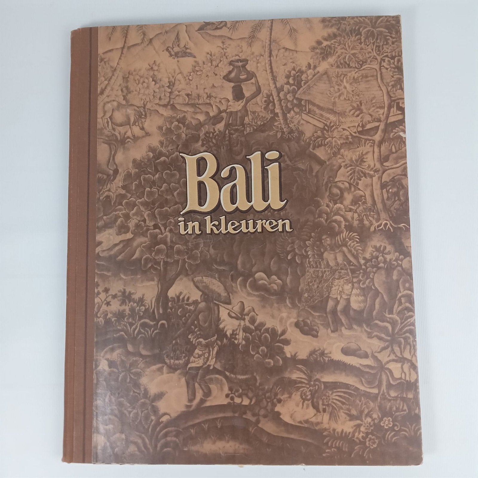 Bali in Kleuren - Reisgids met prachtige illustraties, Boeken, Piet Bakker, Ophalen of Verzenden, Reisgids of -boek, Azië