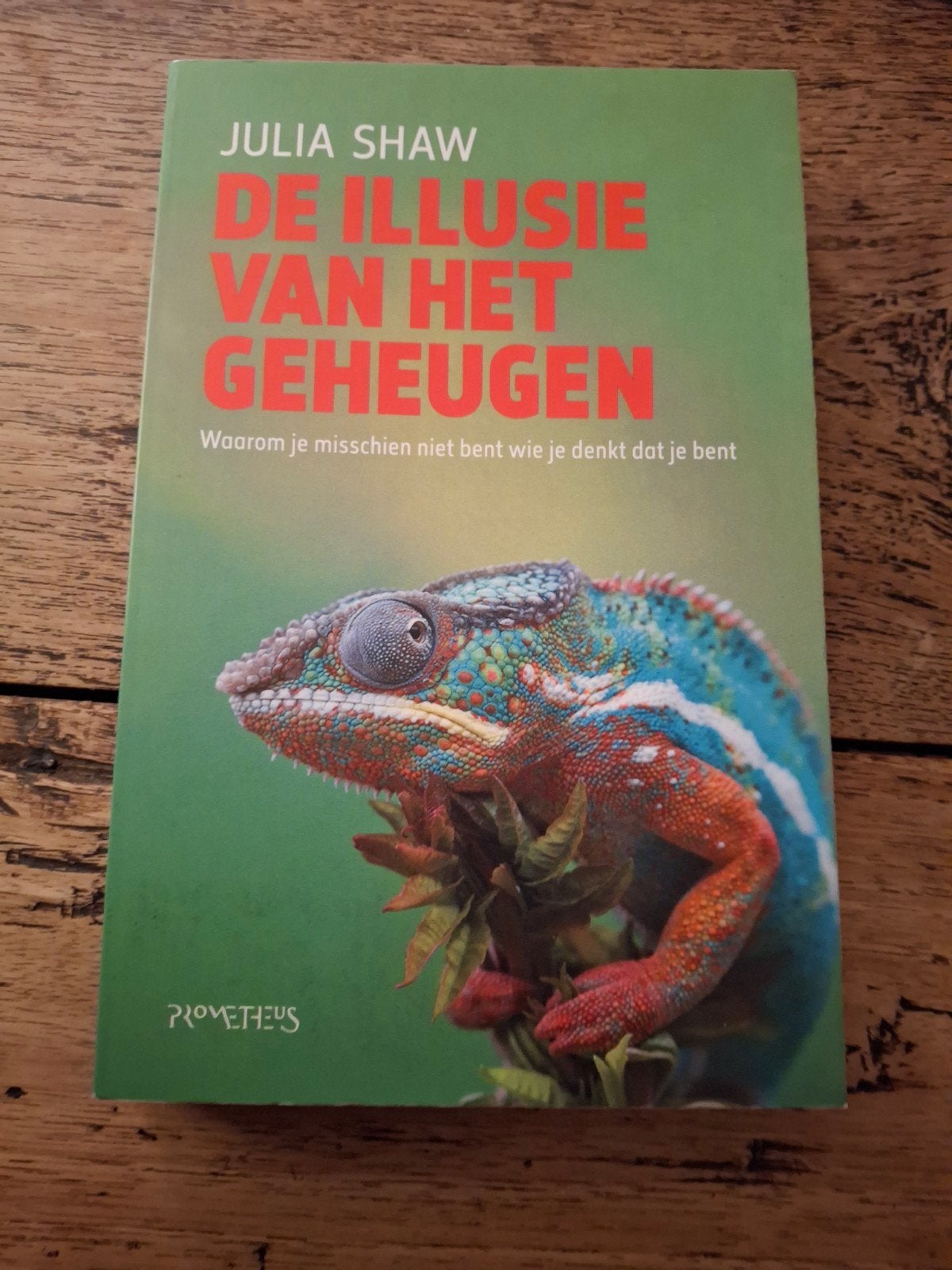 Julia Shaw - De illusie van het geheugen, Boeken, Ophalen of Verzenden, Zo goed als nieuw, Julia Shaw