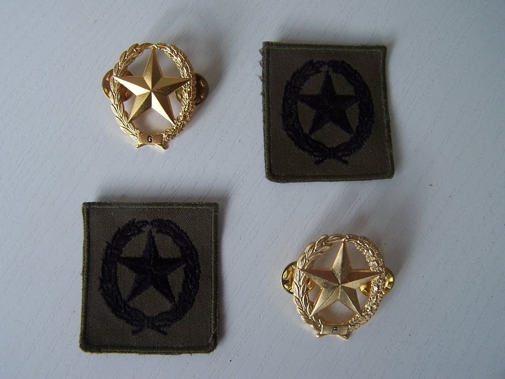 Pistool en Geweer schutter embleem, Ophalen of Verzenden, Landmacht, Nederland, Embleem of Badge