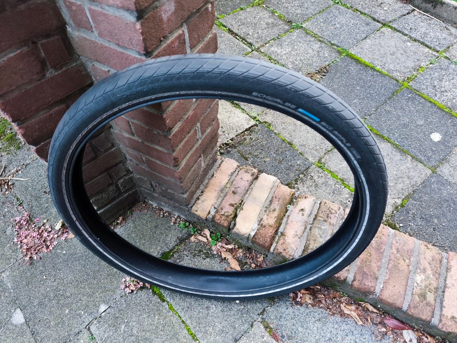 Schwalbe Big Apple fietsband 26"- gebruikt, Ophalen, Gebruikt, Band, Schwalbe