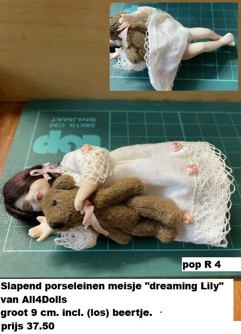 poppenhuis popjes, Verzamelen, Poppenhuizen en Toebehoren, Ophalen of Verzenden, Nieuw, Poppenhuis