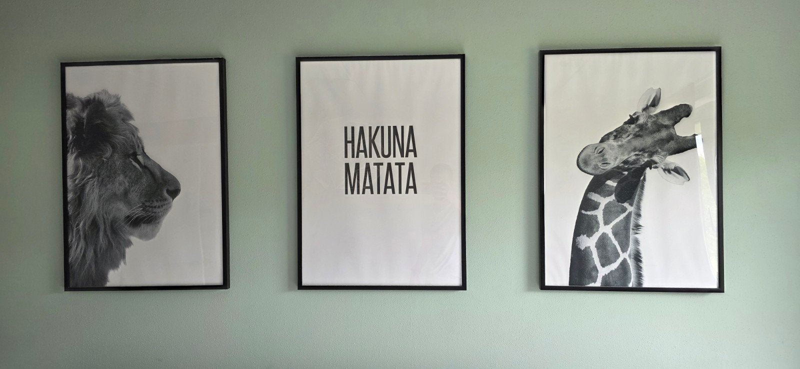 Set van 3 ingelijste posters: Leeuw, Hakuna Matata, Giraffe, Ophalen, 50 – 75, 50 tot 75 cm, Print