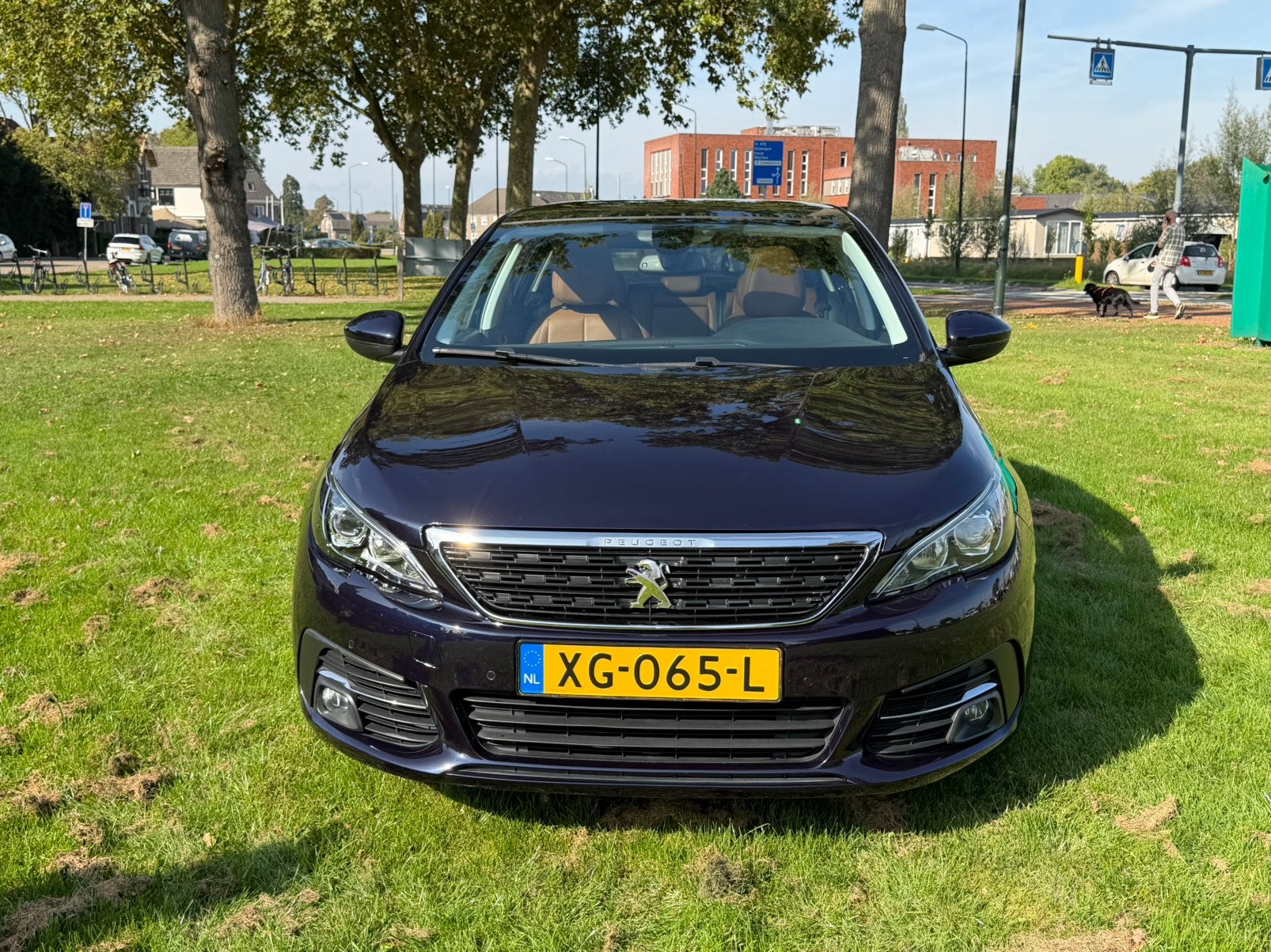 Peugeot 308 1.2 PureTech Executive | Luxe | Pano | 144.000km