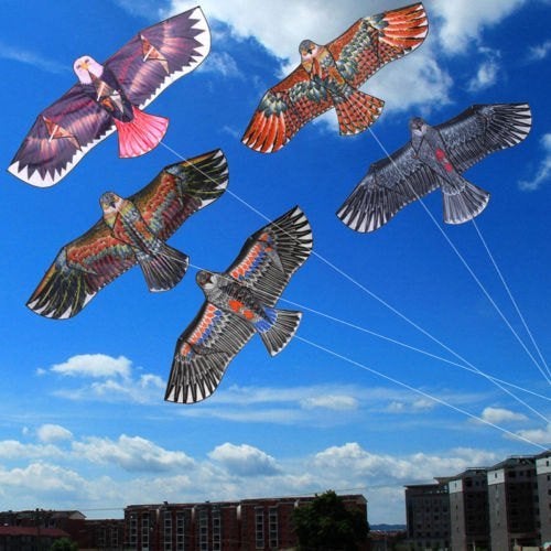 Adelaar vlieger kite 3d vogel grote 1 lijn lijns eenlijns, Verzenden, Nieuw, Eenlijns, Vlieger