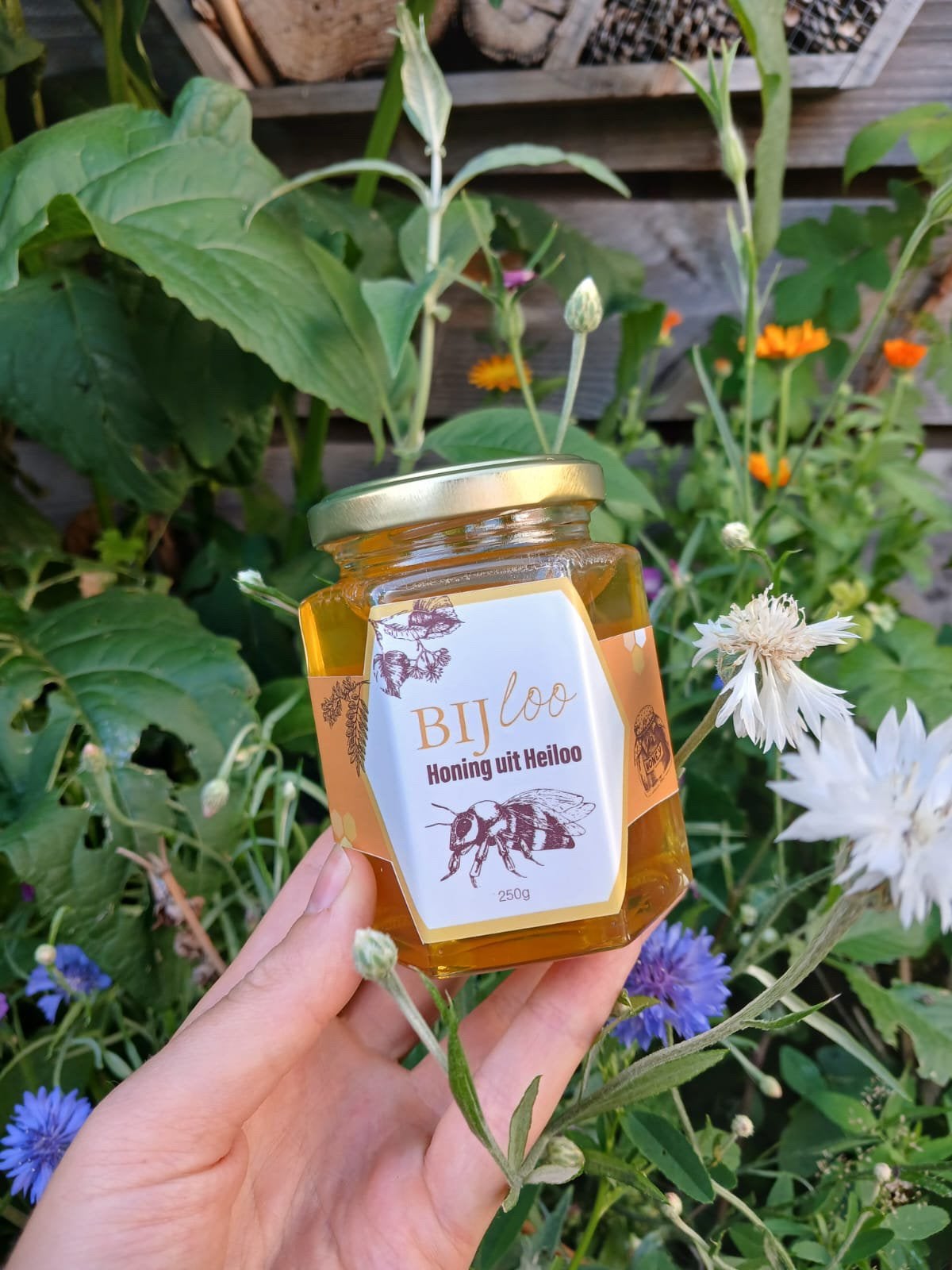 100% lokale honing uit Heiloo!, Ophalen