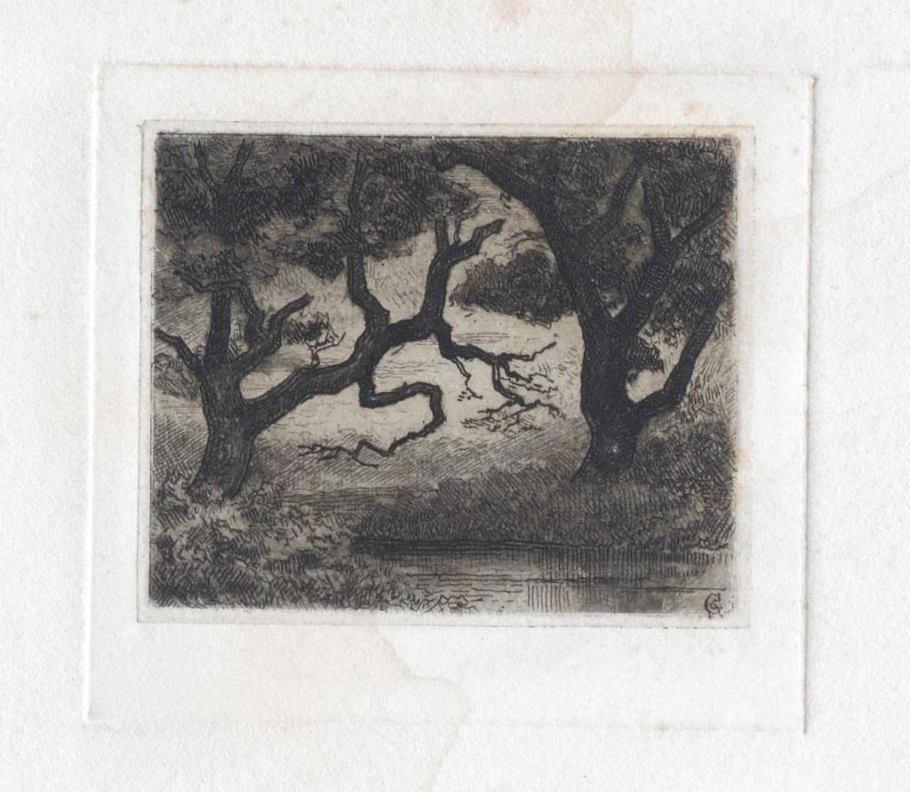 C N Storm v. 's Gravesande ets "Les Vieux Chènes à Vaarssen", Antiek en Kunst, Ophalen, 1800 - 1899, Ets, Met monogram