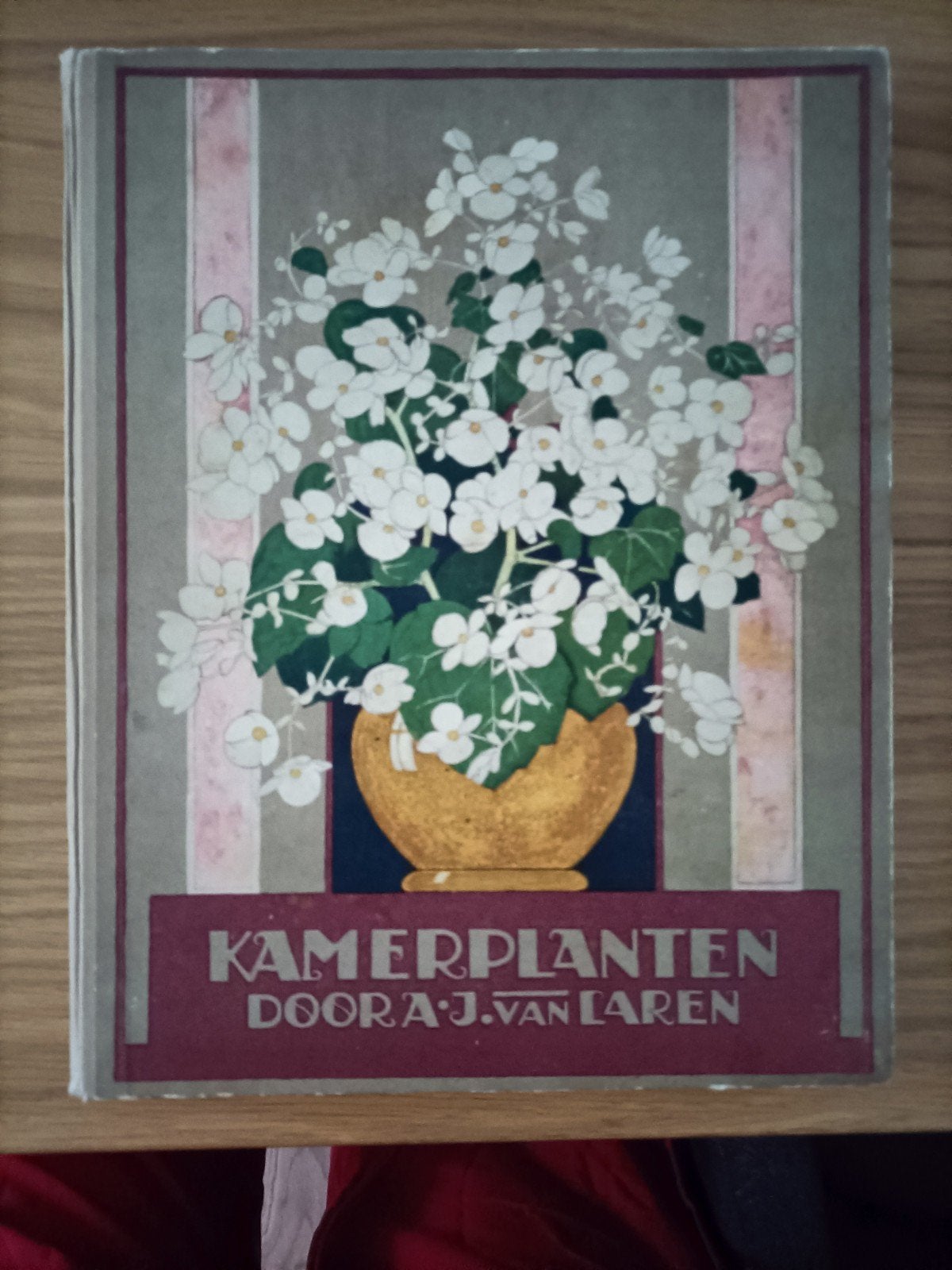 Verkade boek kamerplanten, Ophalen of Verzenden, Gelezen, A.J. van laren