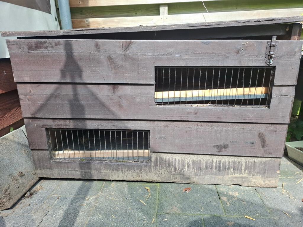 Te koop konijnenhok!, Dieren en Toebehoren, Konijnen, Vrouwelijk, Groot, 3 tot 5 jaar