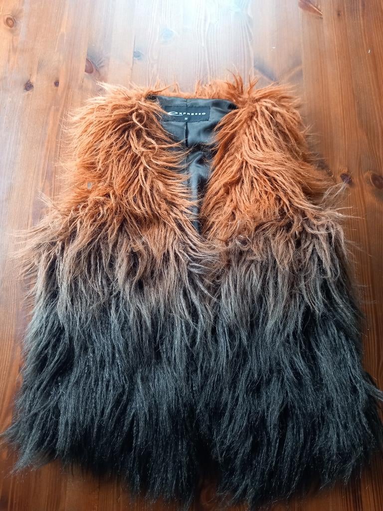 Gilet jasje espresso bont - Maat 38/40, Kleding | Dames, Bodywarmers, Maat 38/40 (M), EXPRESSO, Bruin, Ophalen of Verzenden