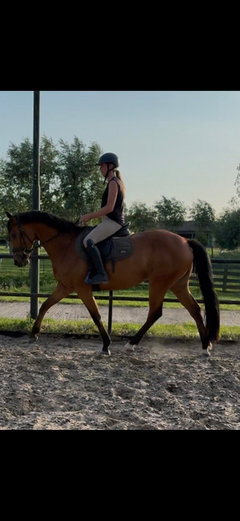 Te koop 5 jarige E pony merrie, Dieren en Toebehoren, Merrie, Met stamboom, Minder dan 160 cm, B
