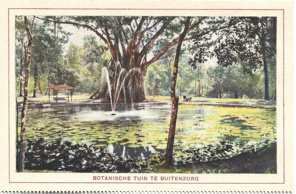 Indonesië;  Botanische tuin te Buitenzorg ( 2 ), Verzenden, 1920 tot 1940, Ongelopen, Buiten Europa