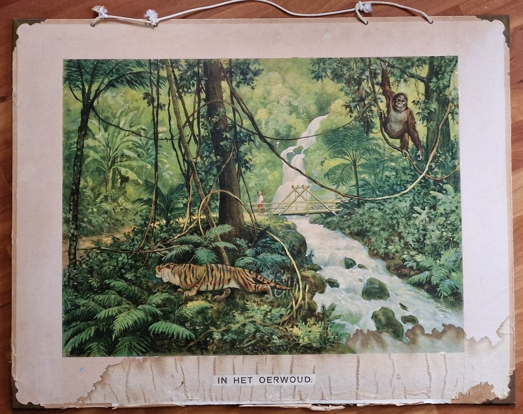 In het oerwoud, Antiek en Kunst, Antiek | Schoolplaten, Ophalen, Geschiedenis