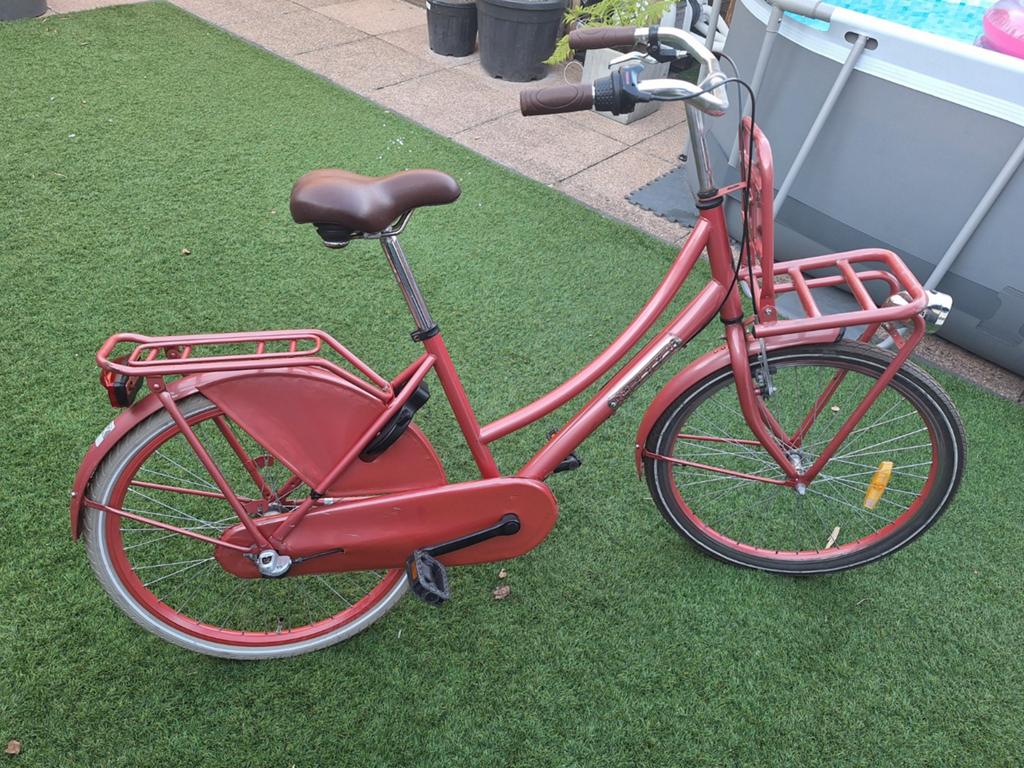 Popal Daily Dutch 24 inch, Ophalen, Gebruikt, 24 inch