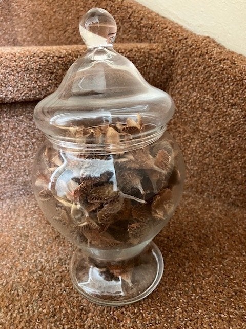 glazen pot met deksel 23 cm hoog, Ophalen of Verzenden, Zo goed als nieuw, Glas