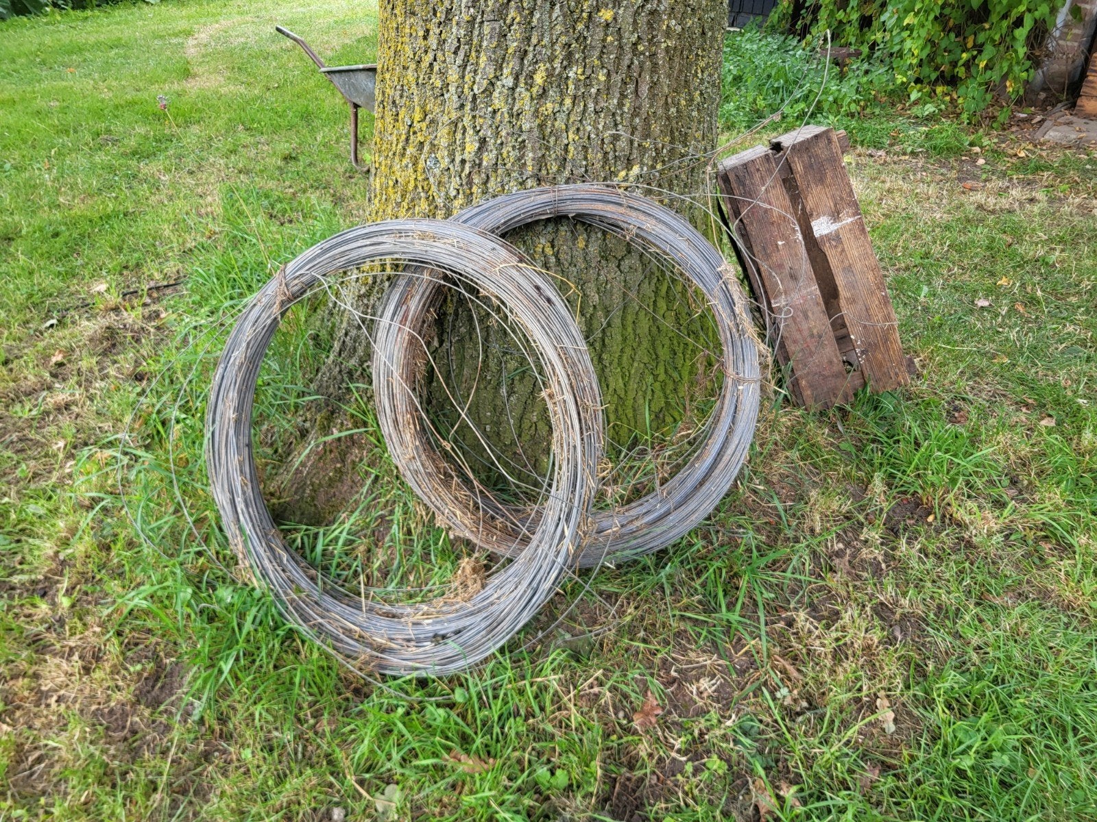 Twee rollen metaaldraad, diameter 65 cm, Ophalen, Gebruikt, 20 meter of meer, Draad
