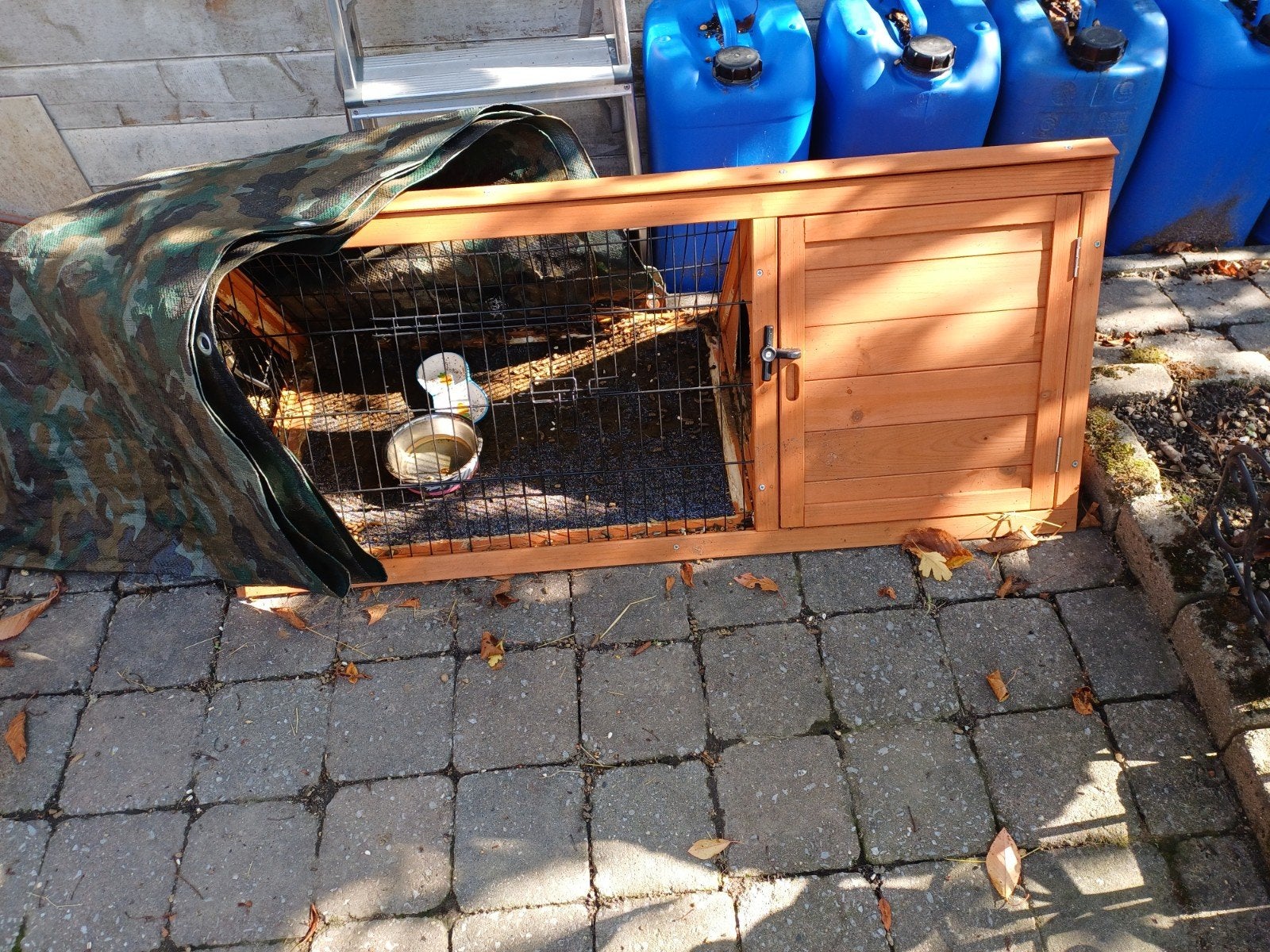caviabeertje, Kooi, 75 tot 110 cm, Cavia, Ophalen