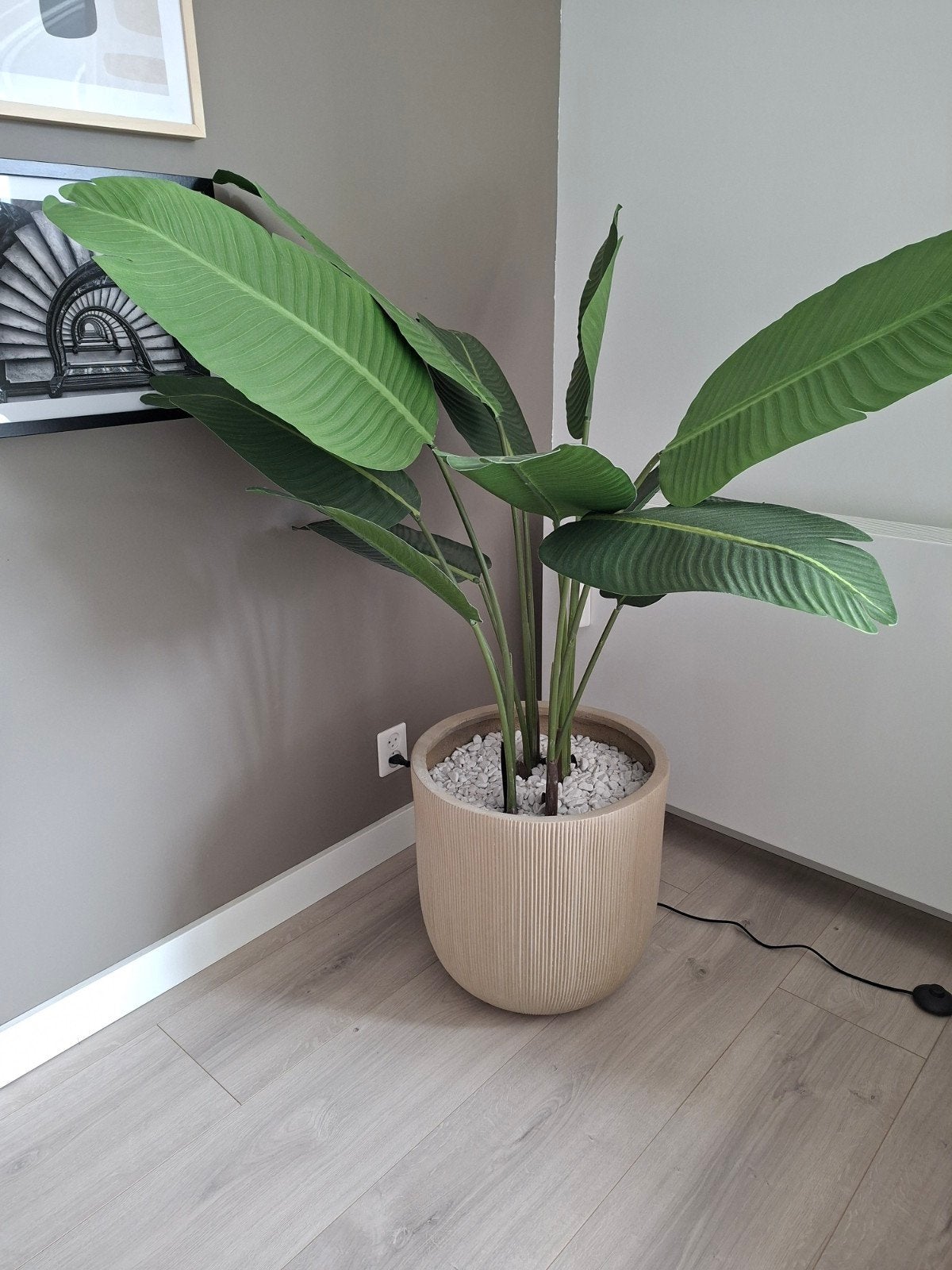 Kunst strelizia kwantum incl pot en grind, Ophalen, Halfschaduw, Minder dan 100 cm