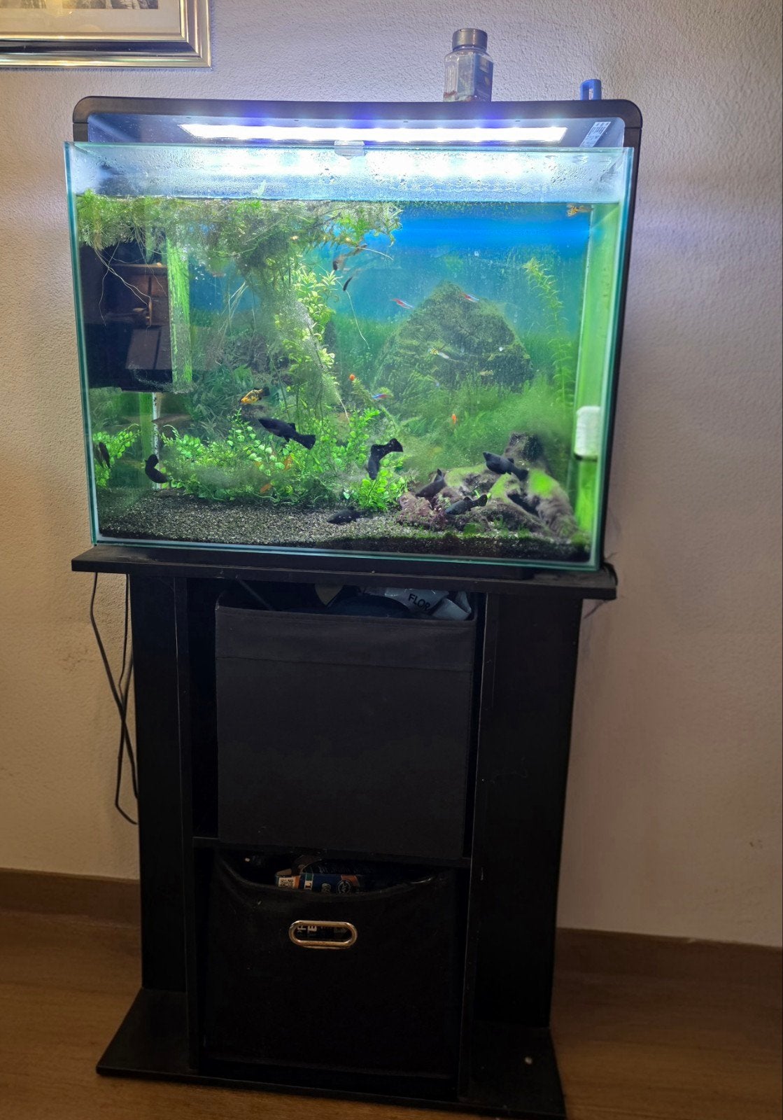 Superfish aquarium met meubel en vissen, Dieren en Toebehoren, Vissen | Aquaria en Toebehoren, Ophalen, Leeg aquarium, Superfish