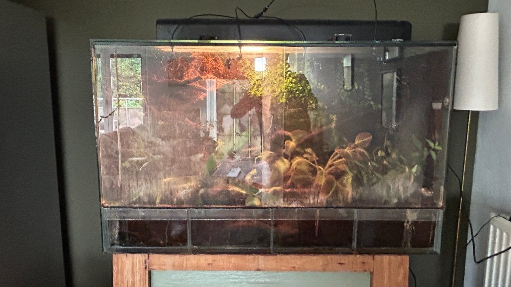 Paludarium, Ophalen, Gebruikt, Terrarium of Paludarium