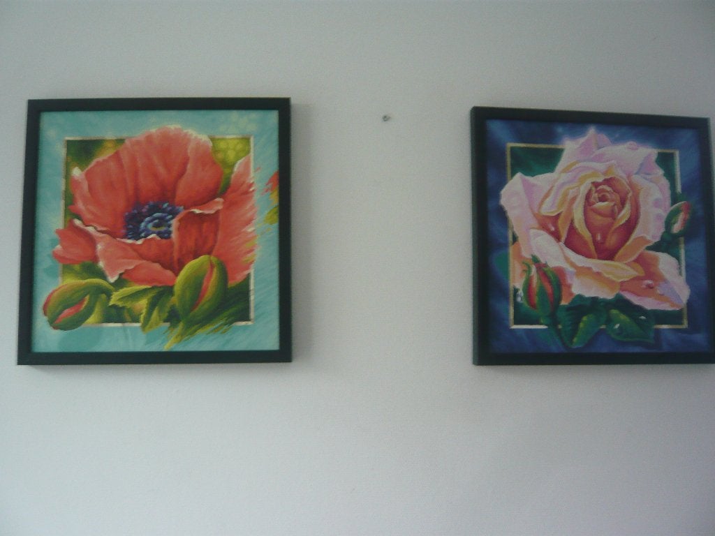 Schilderijen Marjolijn v Ginkel, Antiek en Kunst, Ophalen of Verzenden, Overige onderwerpen, Gravure