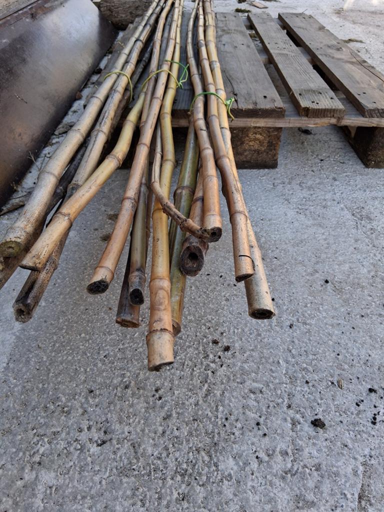 Bamboe bonenstokken set van 10 stuks, Ophalen, Nieuw, 250 cm of meer, Palen