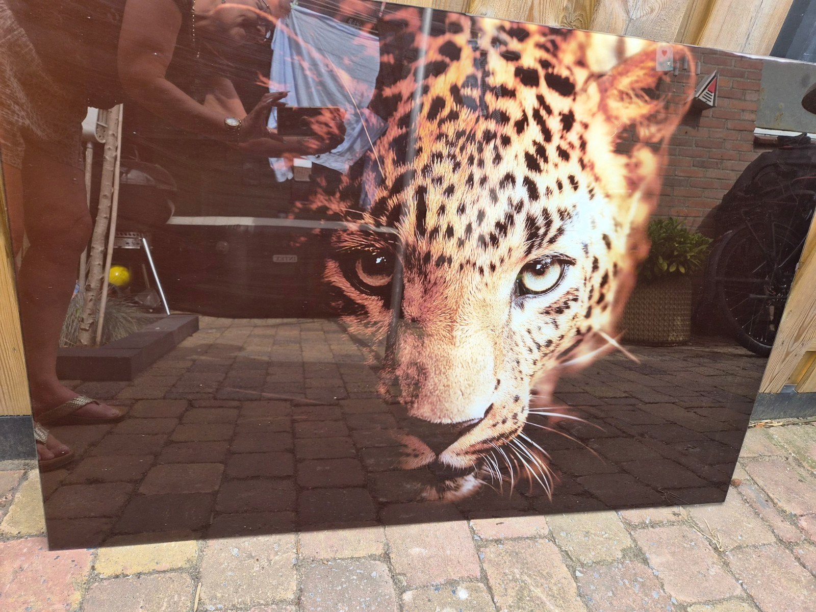 Groot schilderij op glas van een cheeta, Ophalen, 50 – 75, Gebruikt, Schilderij