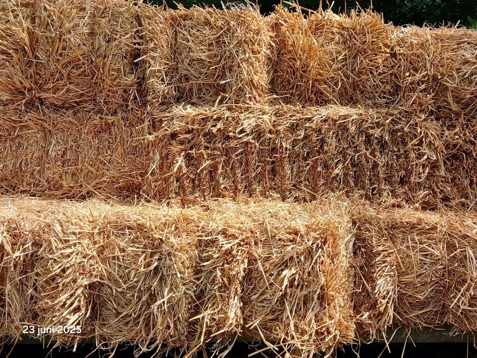 Gevraagd Kleine pakjes Stro Gerst / Tarwe, Dieren en Toebehoren, Ophalen of Verzenden, Vee