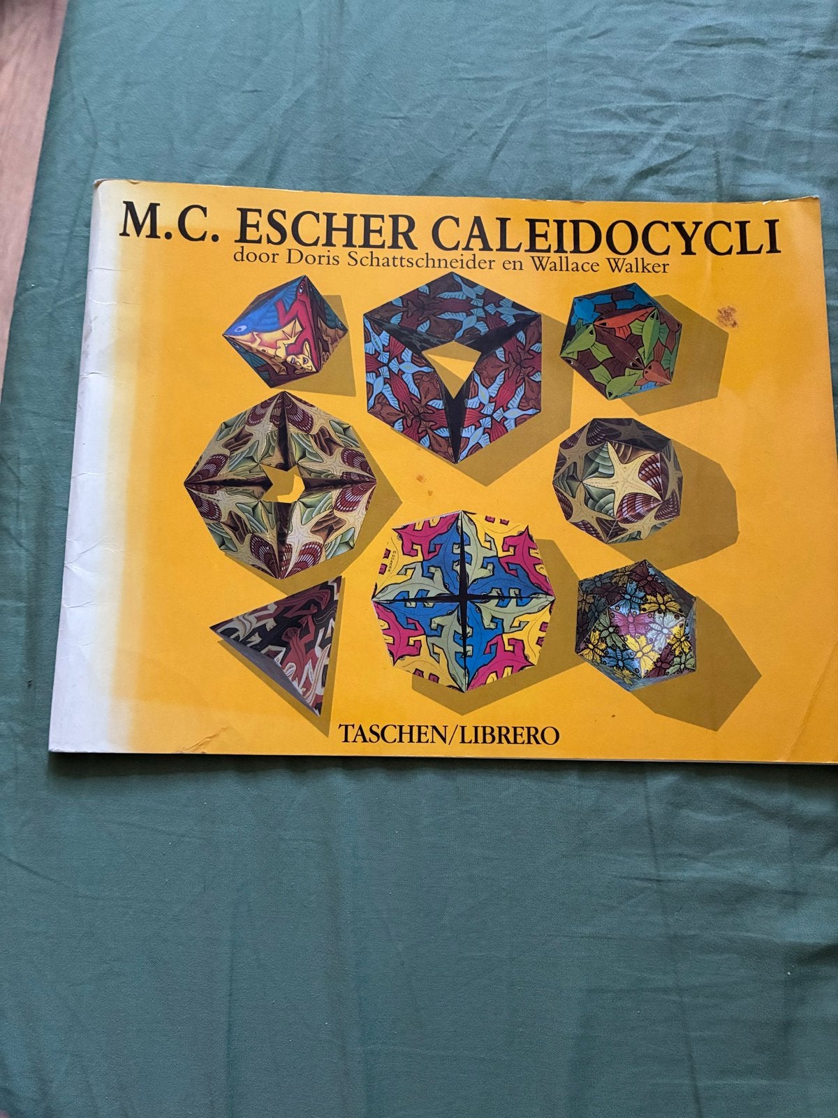 M.C. Escher Caleidocycli - Kunstboek over Escher's werk, Ophalen of Verzenden, Gelezen, Overige onderwerpen