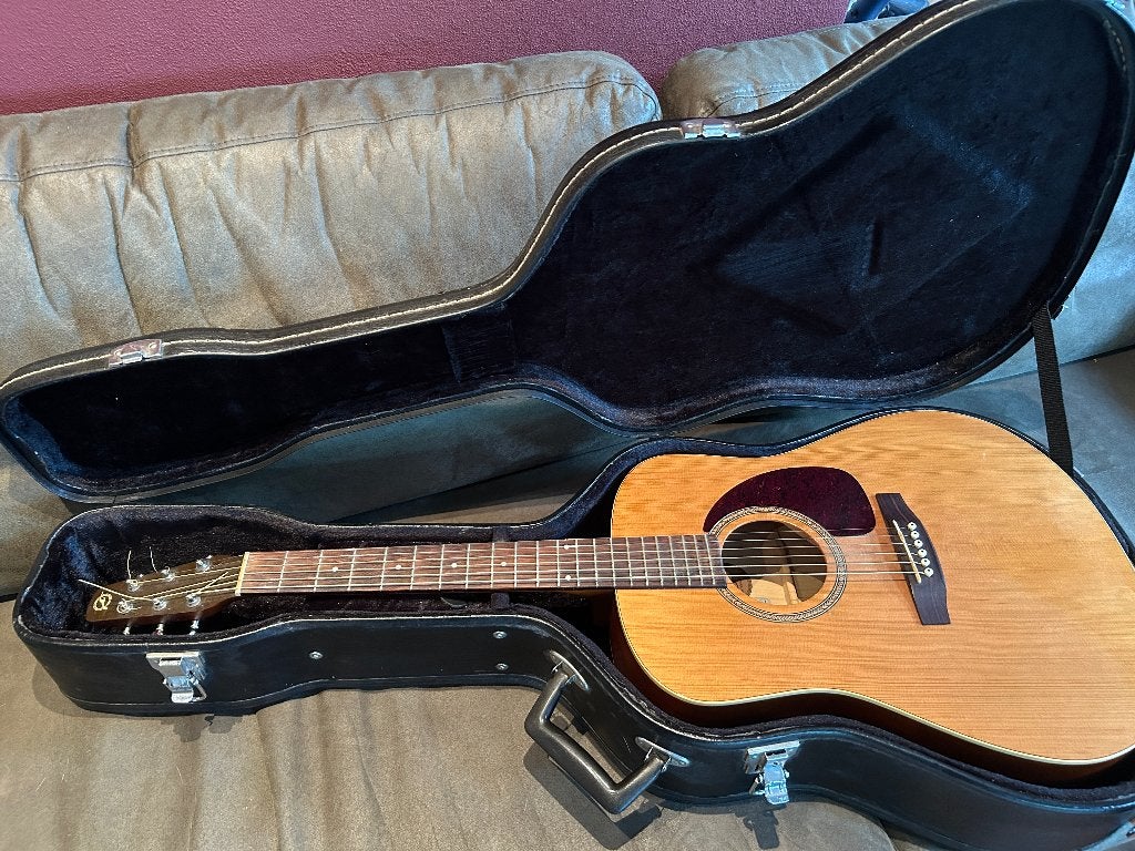 gitaar western, Seagull, Ophalen, Gebruikt, Western- of Steelstringgitaar, Met koffer