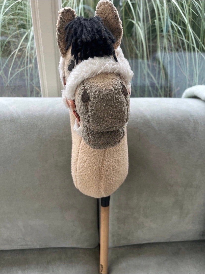 TSM Hobby Horse, Kinderen en Baby's, Ophalen of Verzenden, Zo goed als nieuw, Jongen of Meisje