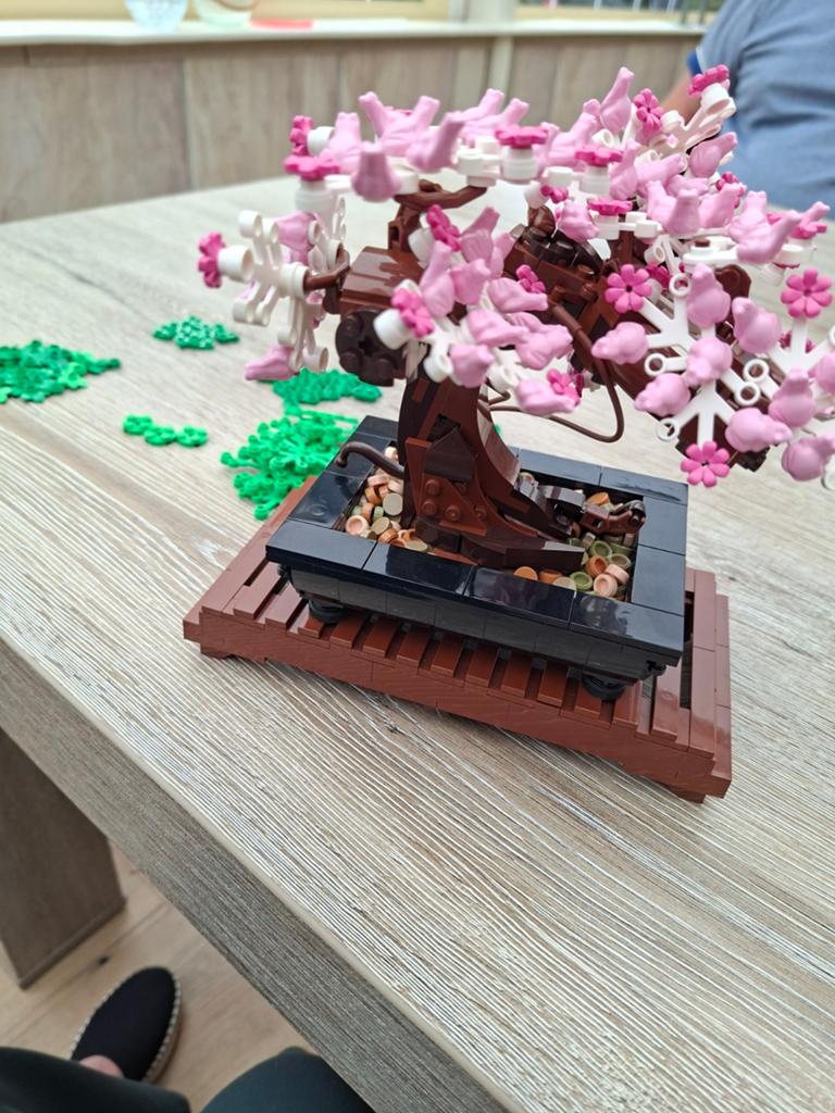 Lego Bonsai Boom - Botanische Collectie, Lego, Ophalen of Verzenden, Zo goed als nieuw, Compleet