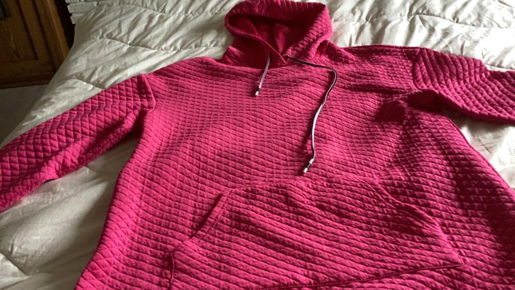 Hoody, Ophalen, Zo goed als nieuw, Maat 38/40 (M), Roze
