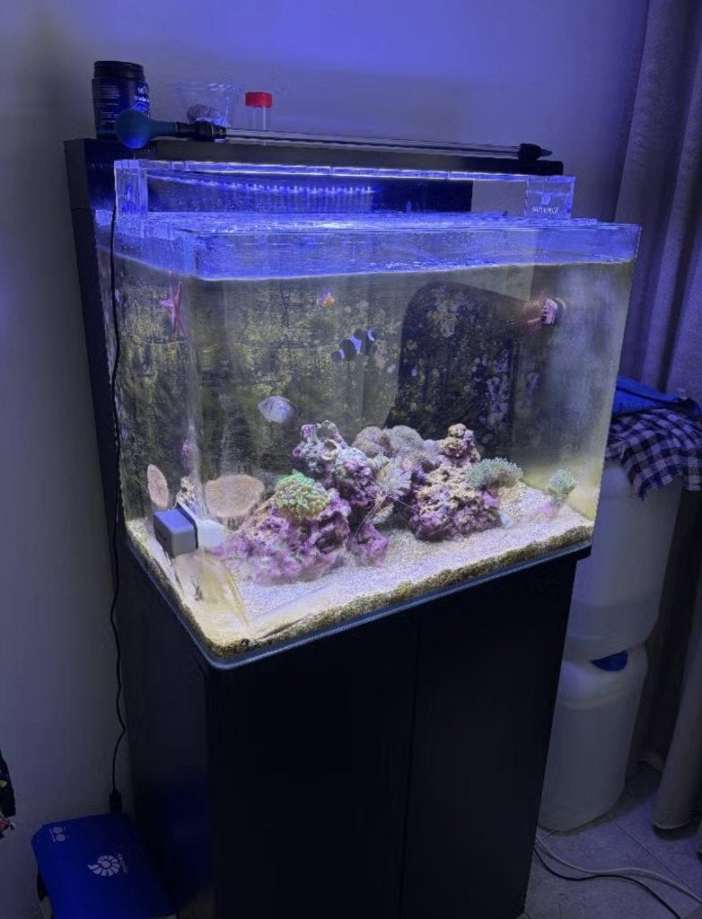 Blue marine reef 120 meubel zwart, Dieren en Toebehoren, Ophalen, Gebruikt, Aquariummeubel, Overige merken