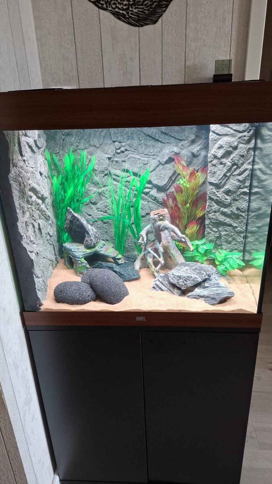 Juwel lido 200 aquarium, Dieren en Toebehoren, Ophalen, Zo goed als nieuw, Gevuld zoetwateraquarium