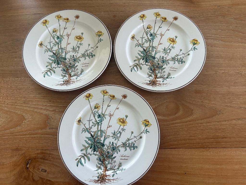 Botanica dinerborden (Villeroy & Boch), Ophalen of Verzenden