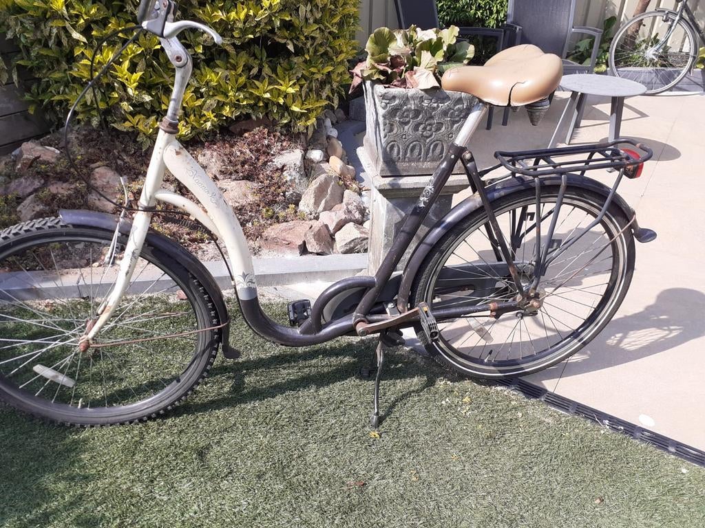 Damesfiets met lage instap, Versnellingen, Ophalen, Overige merken, 53 tot 56 cm