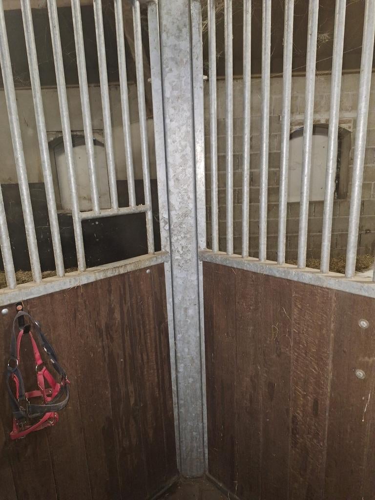 Wegens verbouwing stal te koop, Dieren en Toebehoren, Stalling en Weidegang