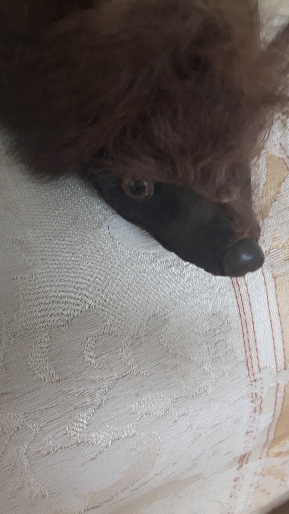 nerts bruin, Ophalen of Verzenden, Zo goed als nieuw, Overige soorten, Beeldje of Figuurtje