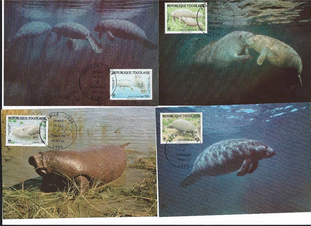 Zeekoe wwf wnf 4 maxikaarten Togo 1984 bedreigde diersoort, Ophalen of Verzenden, Postfris, Dier of Natuur