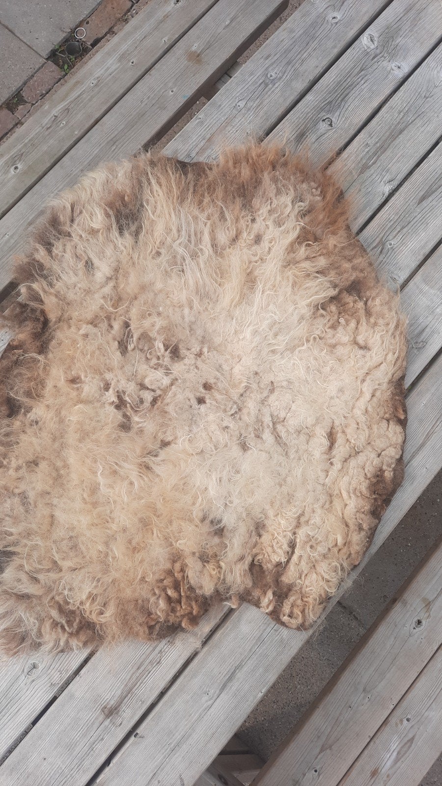 schapenvacht gevilt biologisch, Ophalen of Verzenden, Beige