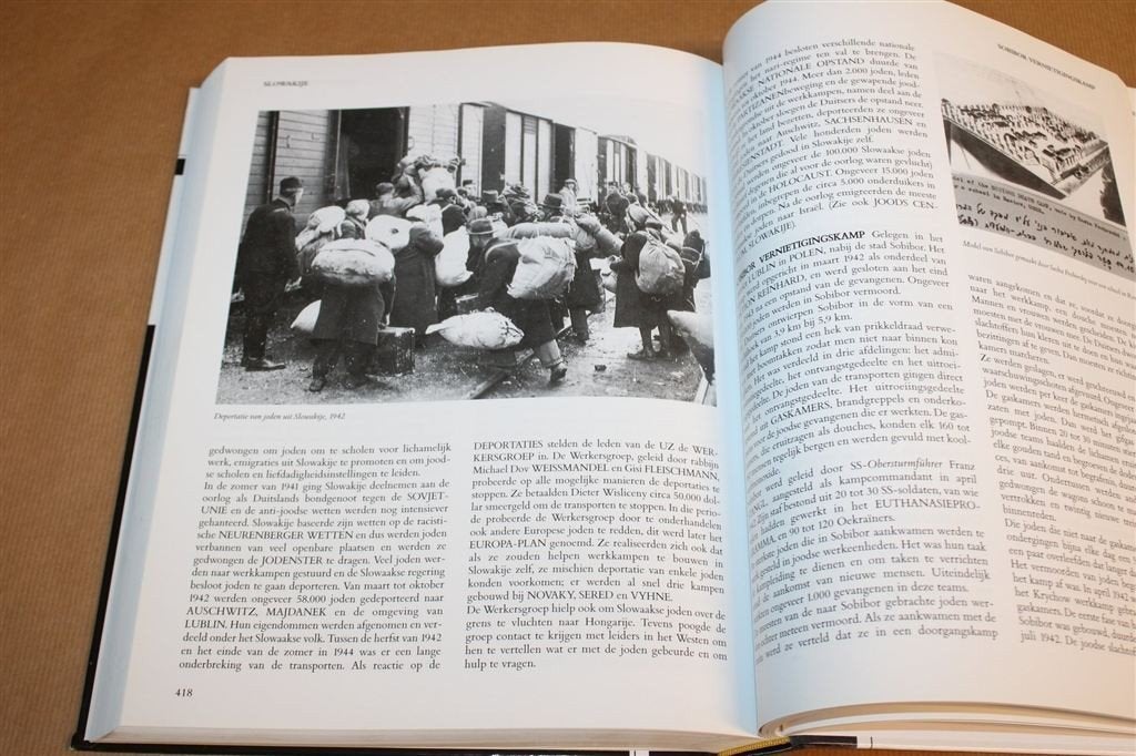 Holocaust Encyclopedie — Yad Vashem Naslagwerk [Rozett], Ophalen of Verzenden, Tweede Wereldoorlog, Gelezen, Overige onderwerpen