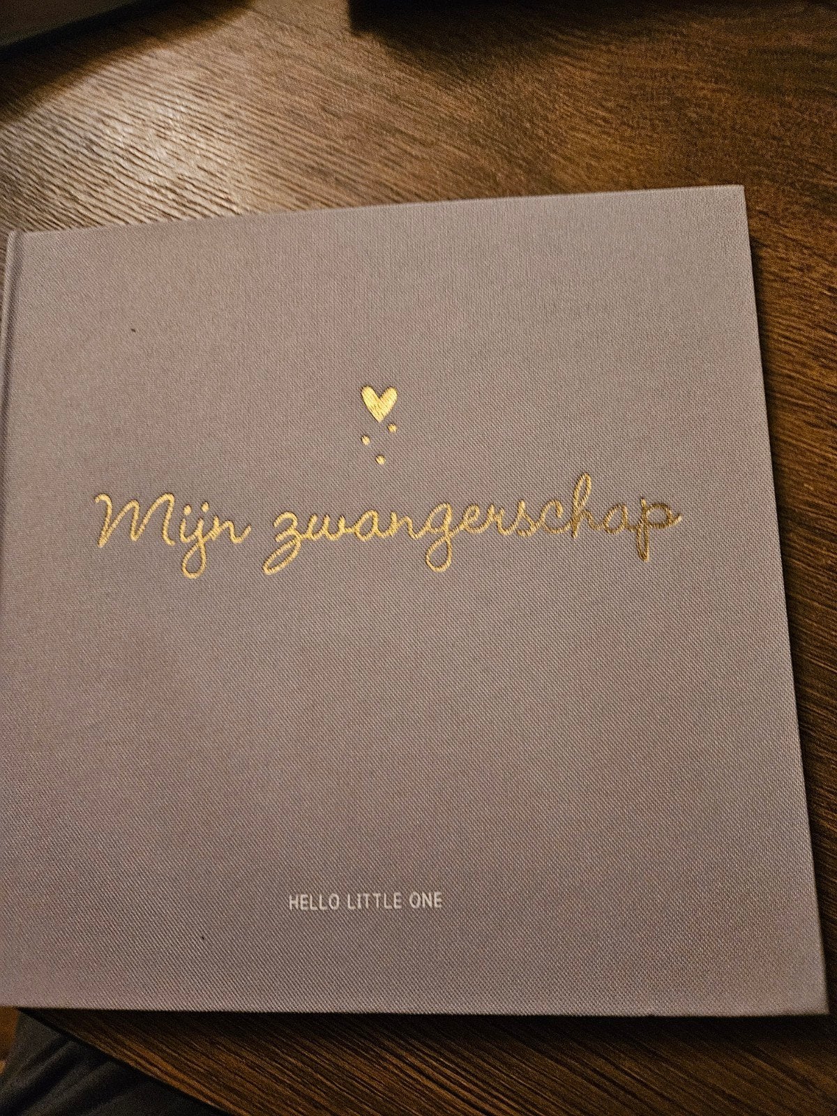 Mijn Zwangerschap - Invulboek voor aanstaande moeders, Ophalen of Verzenden, Zo goed als nieuw, Zwangerschap en Bevalling, Onbekend