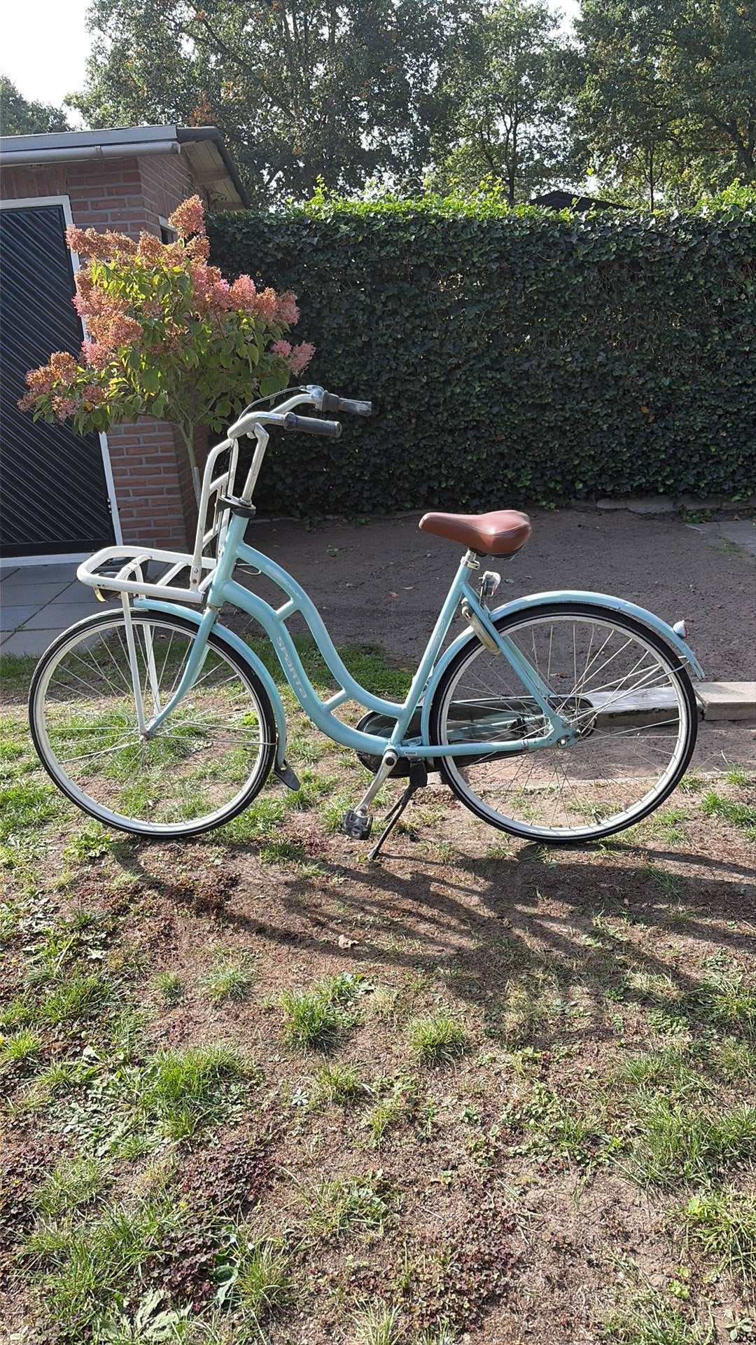 Fiets, Ophalen, Terugtraprem, Sparta, Gebruikt