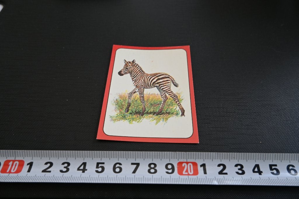sticker panini baby zoo # 97 strip zebra, Ophalen, Zo goed als nieuw
